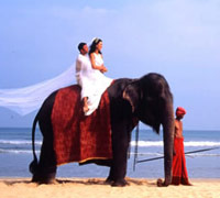 wedding image